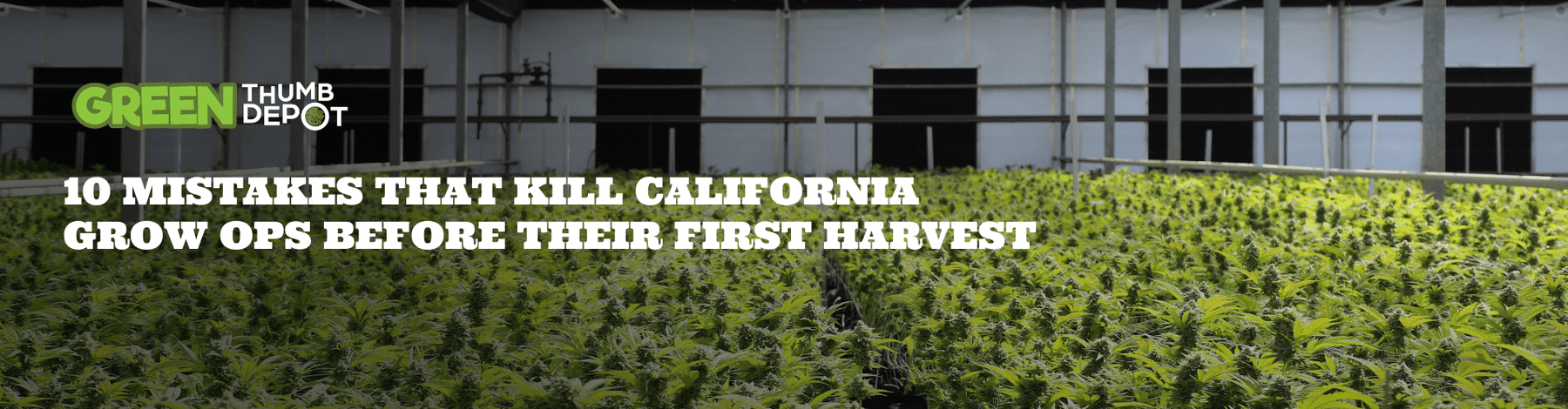 10 Mistakes That Kill California Grow Ops Before Their First Harvest 🌱 - Green Thumb Depot