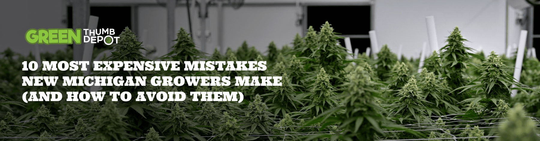 10 Most Expensive Mistakes Michigan Growers Make (and How to Avoid Them) - Green Thumb Depot
