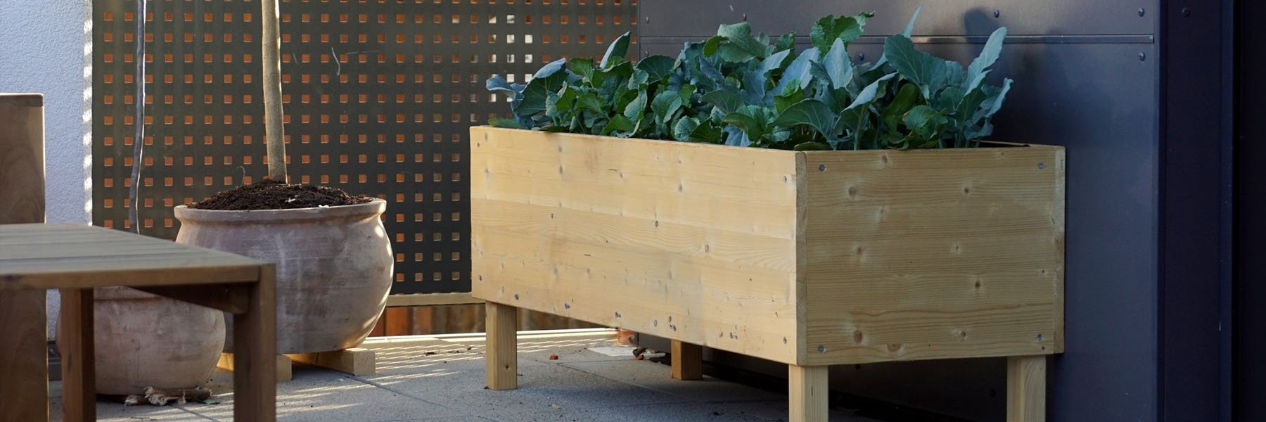 10 Surprising Benefits of Using Raised Garden Beds - Green Thumb Depot