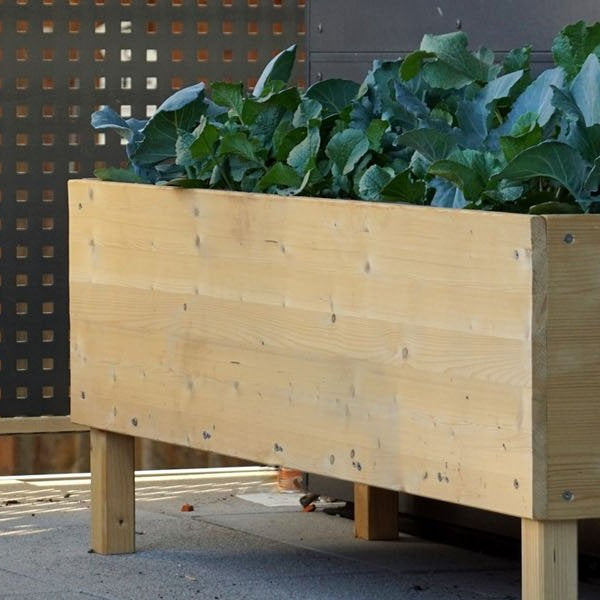 10 Surprising Benefits of Using Raised Garden Beds - Green Thumb Depot