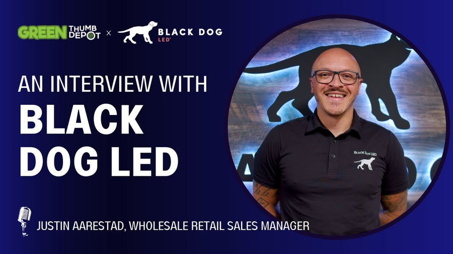 Black Dog LED - Green Thumb Depot