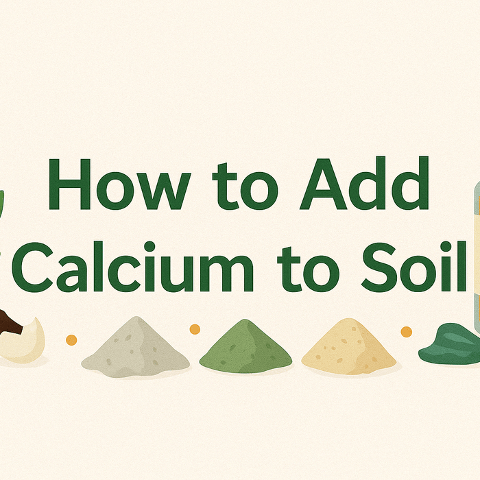 Calcium Deficiency in Plants: Symptoms, Solutions & Soil Fixes - Green Thumb Depot