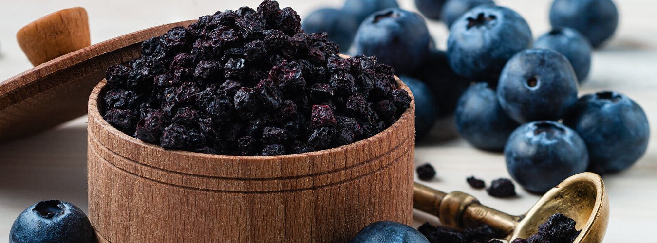 Freeze Drying Blueberries - Green Thumb Depot