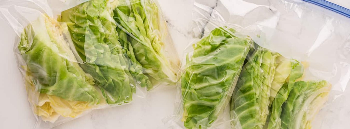 Freeze Drying Cabbage - Green Thumb Depot