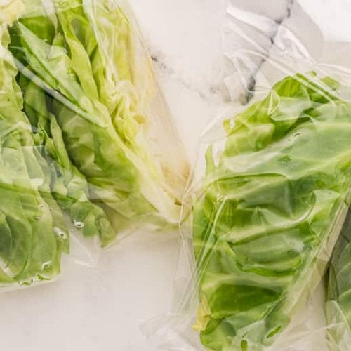 Freeze Drying Cabbage - Green Thumb Depot