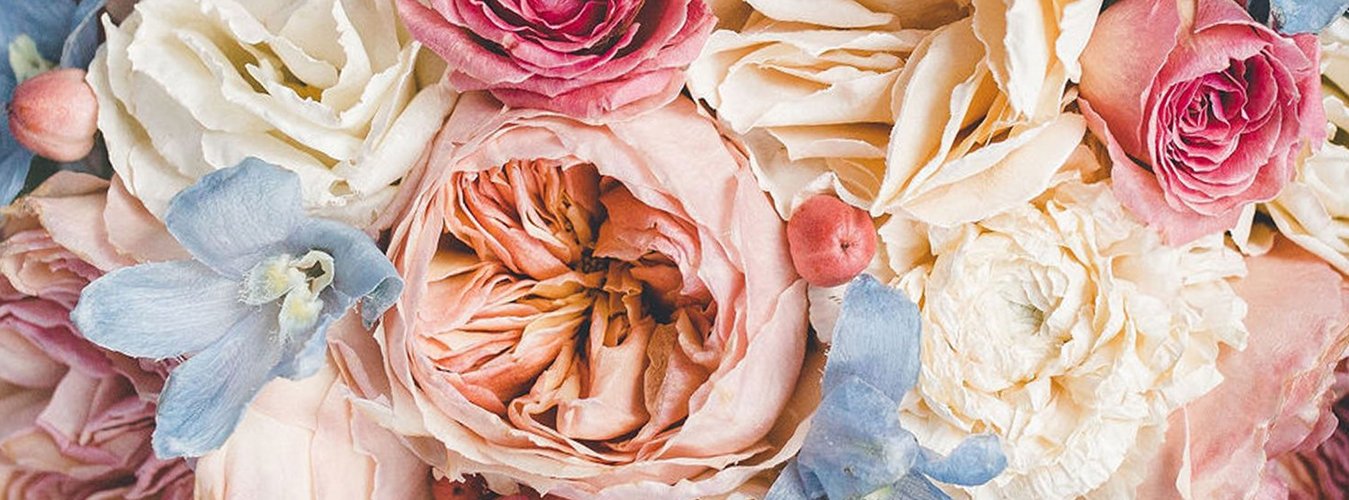 Freeze Drying Flowers - Green Thumb Depot