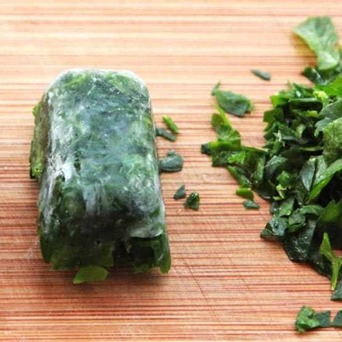 Freeze Drying Herbs: A Comprehensive Beginner's Guide - Green Thumb Depot