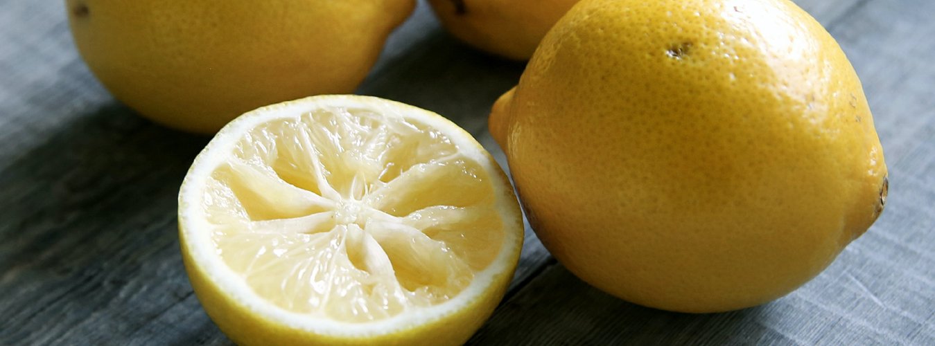 Freeze Drying Lemons - Green Thumb Depot