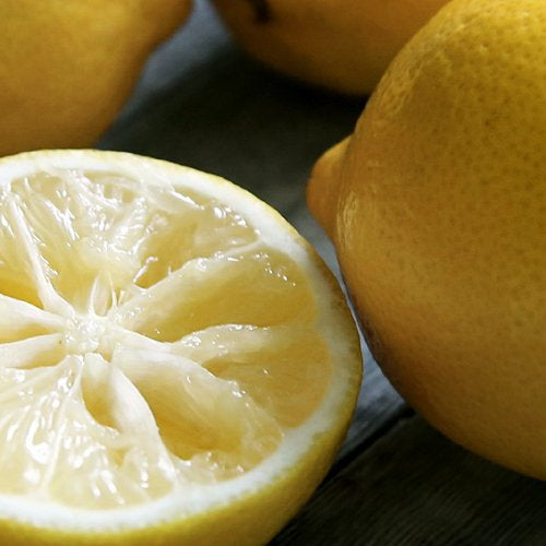 Freeze Drying Lemons - Green Thumb Depot