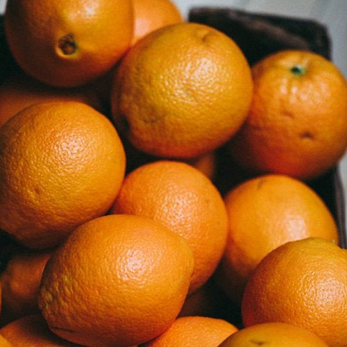 Freeze Drying Orange Juice - Green Thumb Depot