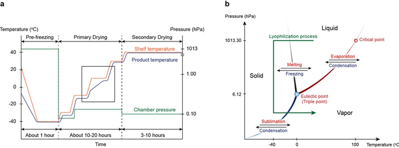 Freeze Drying Temperature Chart - Green Thumb Depot