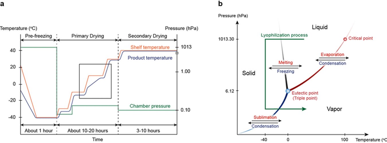 Freeze Drying Temperature Chart — Green Thumb Depot