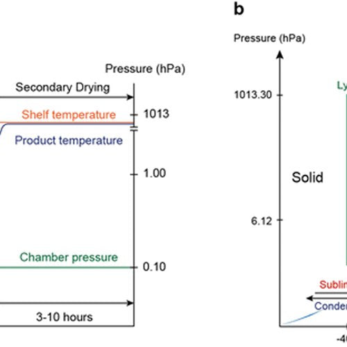 Freeze Drying Temperature Chart - Green Thumb Depot