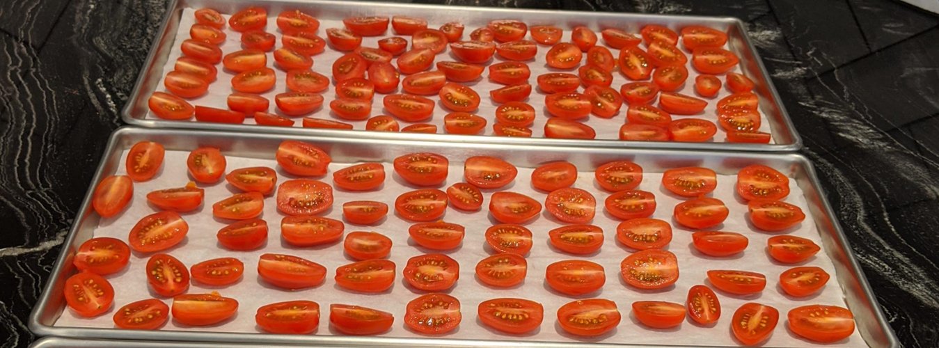 Freeze Drying Tomatoes - Green Thumb Depot
