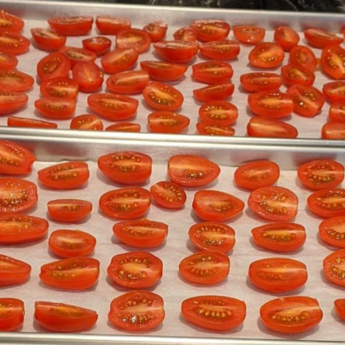 Freeze Drying Tomatoes - Green Thumb Depot