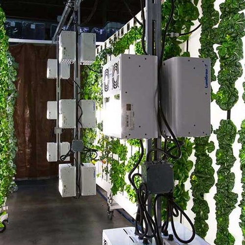 Grow Lights for Hydroponic Systems: Best practices for integrating lights with water-based cultivation methods. - Green Thumb Depot