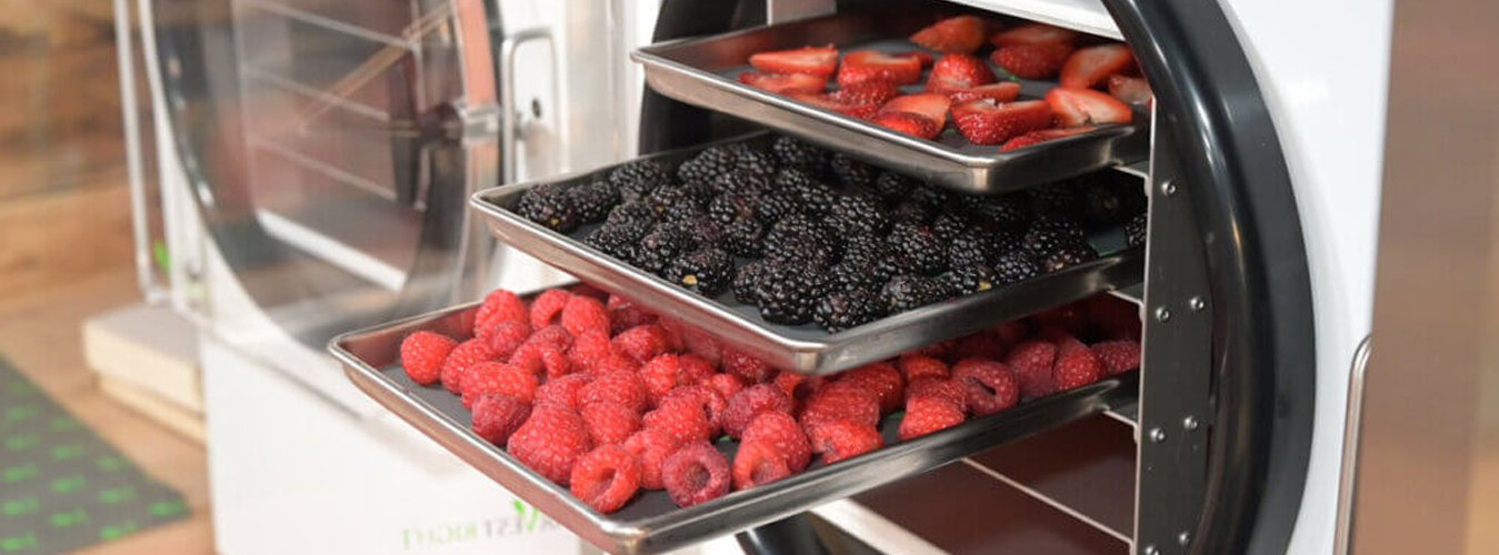 How Does Freeze Drying Work - Green Thumb Depot