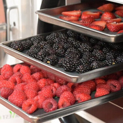 How Does Freeze Drying Work - Green Thumb Depot
