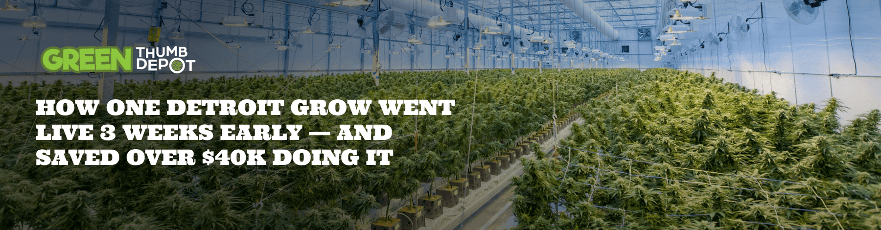 How One Detroit Grow Went Live 3 Weeks Early — and Saved Over $40K Doing It - Green Thumb Depot