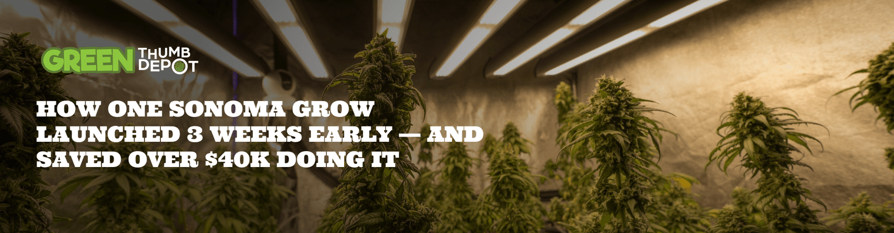 How One Sonoma Grow Launched 3 Weeks Early — and Saved Over $40K Doing It - Green Thumb Depot
