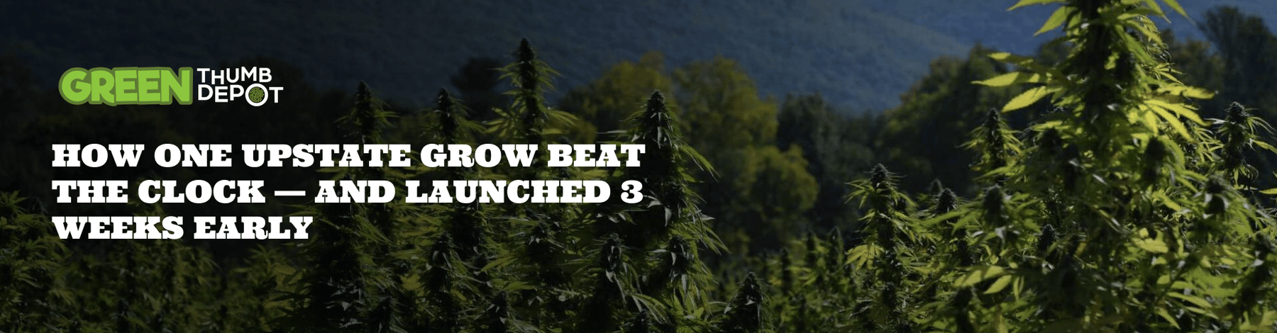How One Upstate Grow Beat the Clock — And Launched 3 Weeks Early - Green Thumb Depot