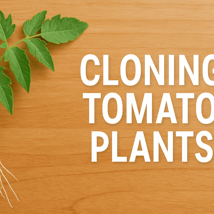 How to Clone Plants: Tomato Cuttings, Water Propagation, and Cloning Systems - Green Thumb Depot