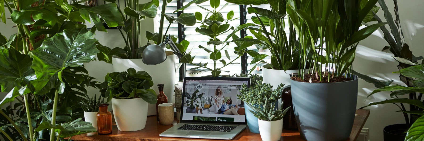 How to Successfully Start Growing Your Own Vegetable and Herb Garden Indoors - Green Thumb Depot