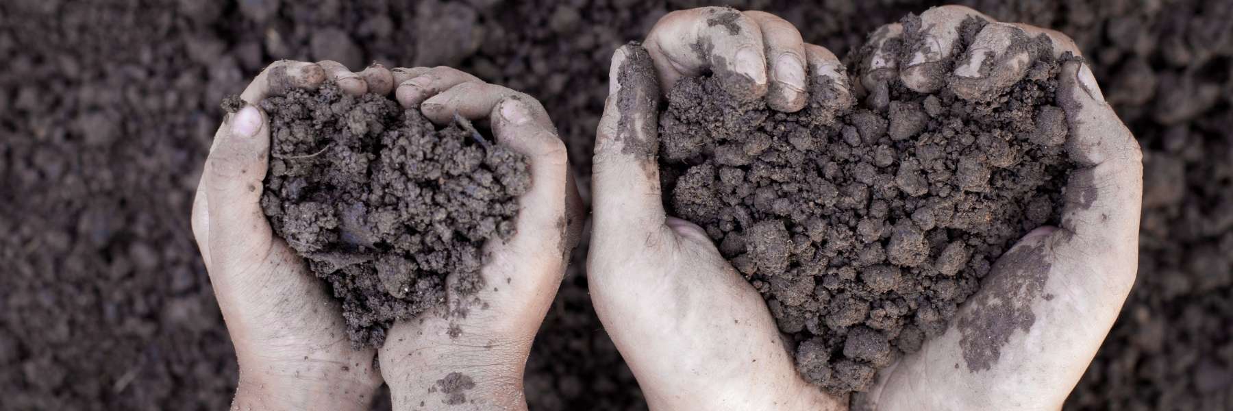Mastering the Art of Composting at Home: A Comprehensive Guide to Composting 101 - Green Thumb Depot