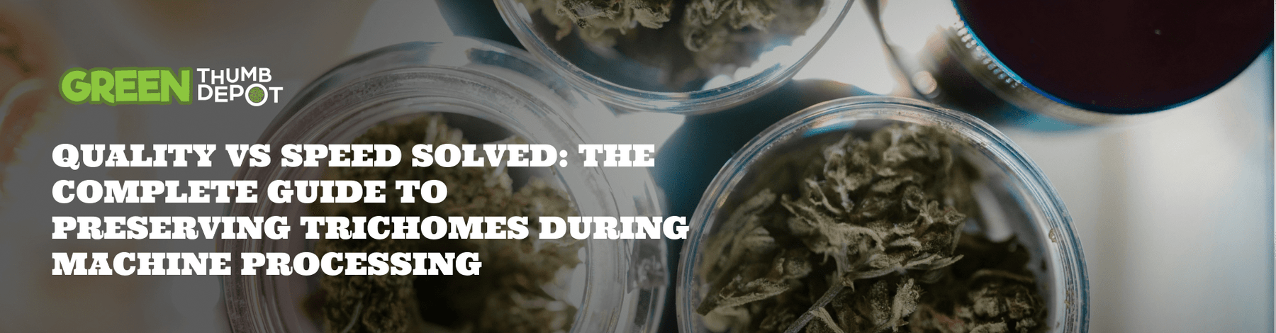 Quality vs Speed Solved: The Complete Guide to Preserving Trichomes During Machine Processing - Green Thumb Depot