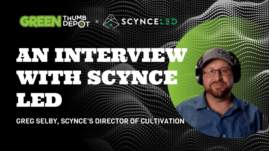 Scynce LED Grow Lights: An Interview with Greg Selby, Scynce's Director of Cultivation - Green Thumb Depot