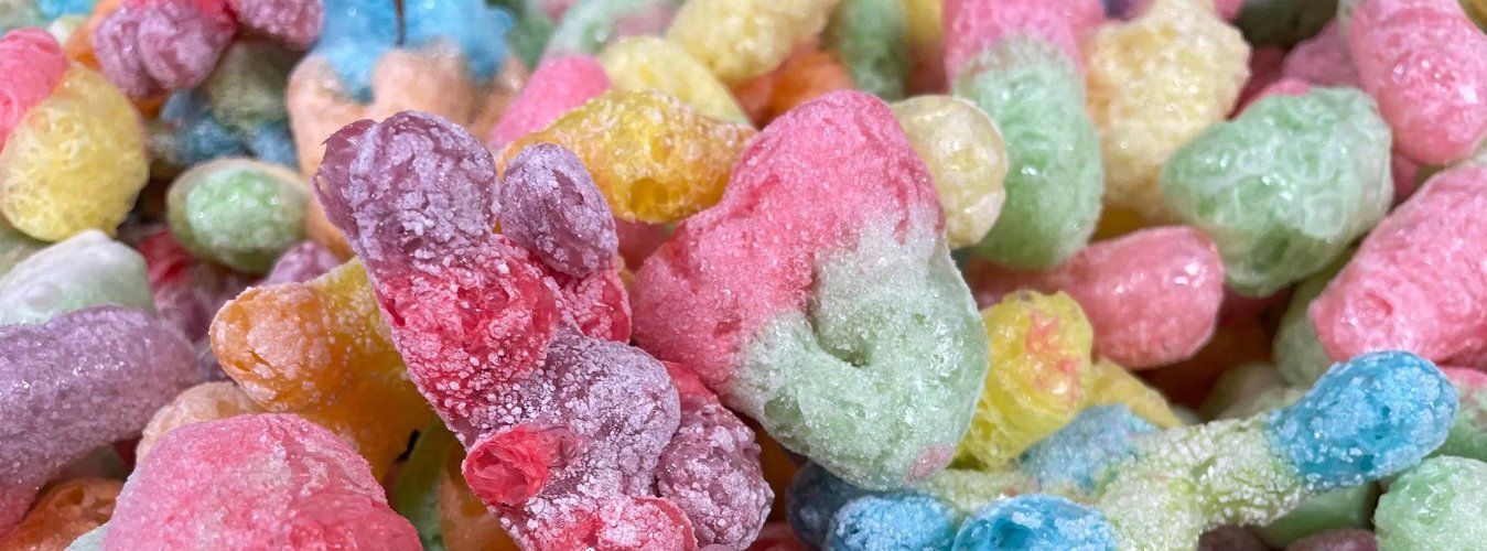 Starting a Freeze Drying Business - Green Thumb Depot