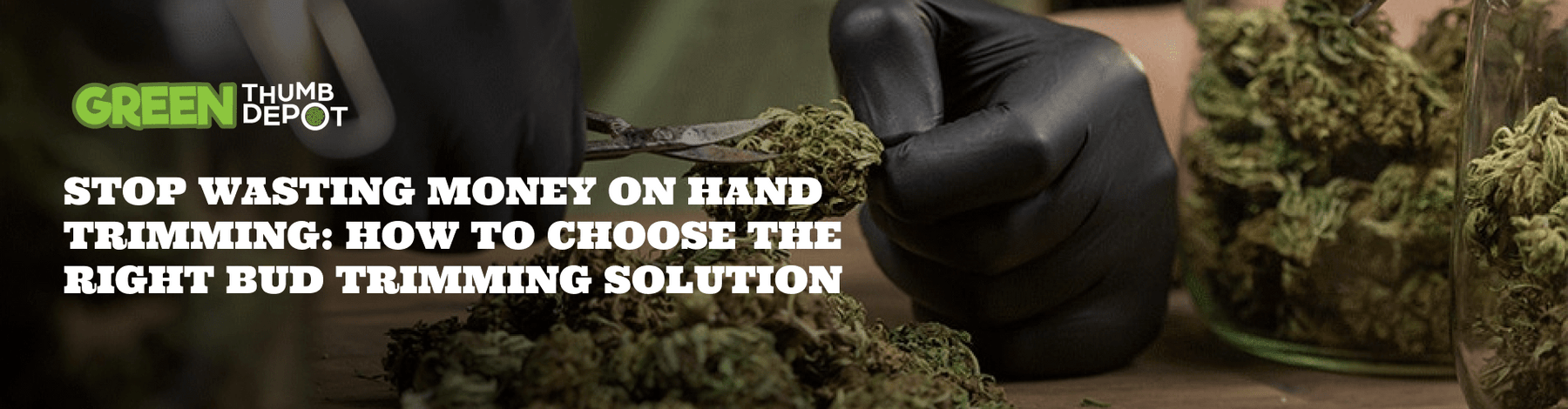 Stop Wasting Money on Hand Trimming: How to Choose the Right Bud Trimming Solution - Green Thumb Depot