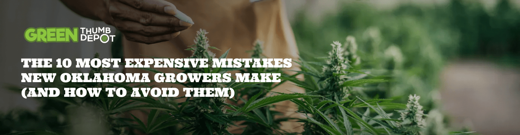 The 10 Most Expensive Mistakes New Oklahoma Growers Make (And How to Avoid Them) - Green Thumb Depot