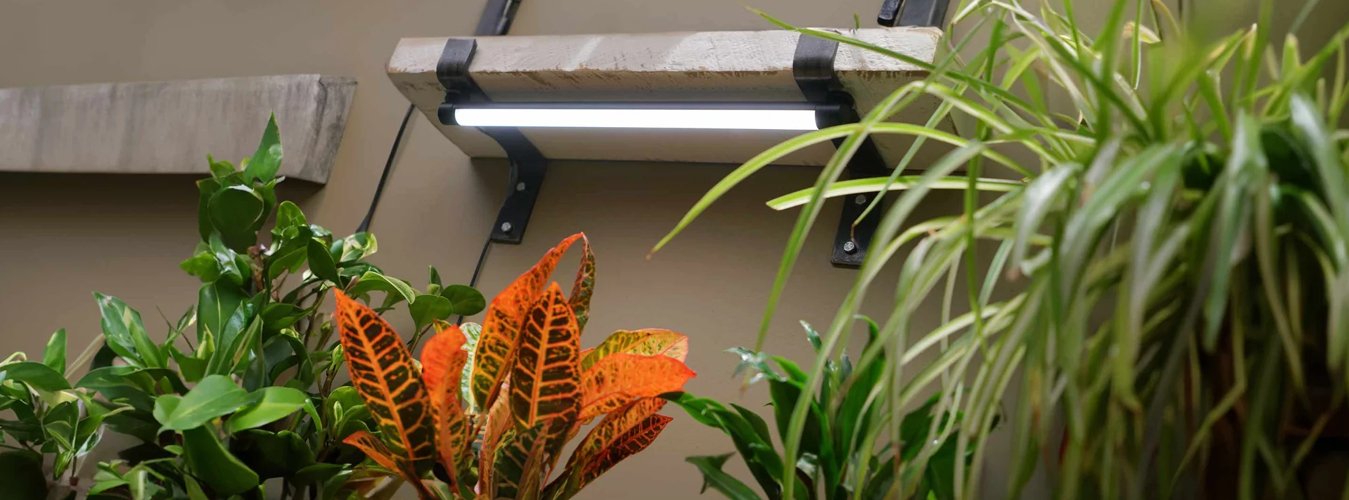 The Economic Impact of Grow Lights: Analyzing the cost-effectiveness and return on investment of different lighting systems. - Green Thumb Depot