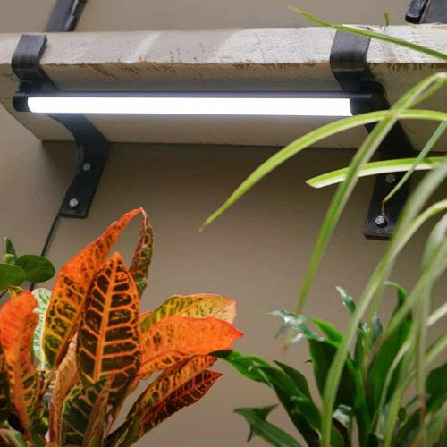 The Economic Impact of Grow Lights: Analyzing the cost-effectiveness and return on investment of different lighting systems. - Green Thumb Depot