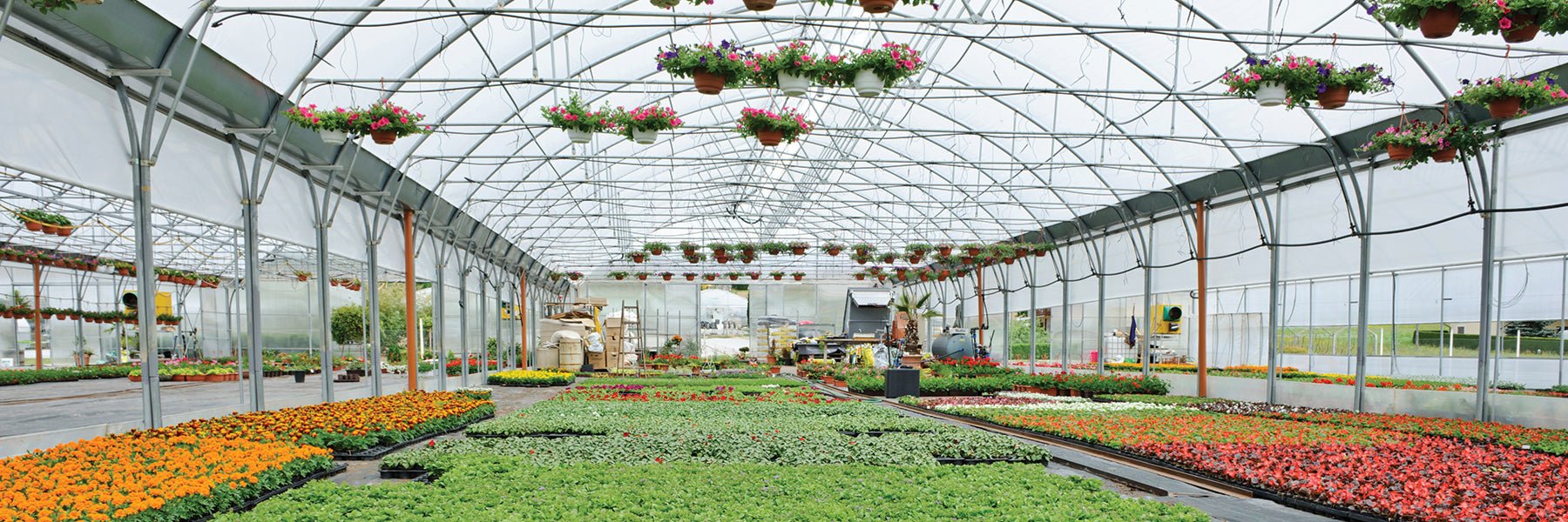 The Ultimate Beginners Guide to Your First Greenhouse: Tips and Tricks   Green Thumb Depot