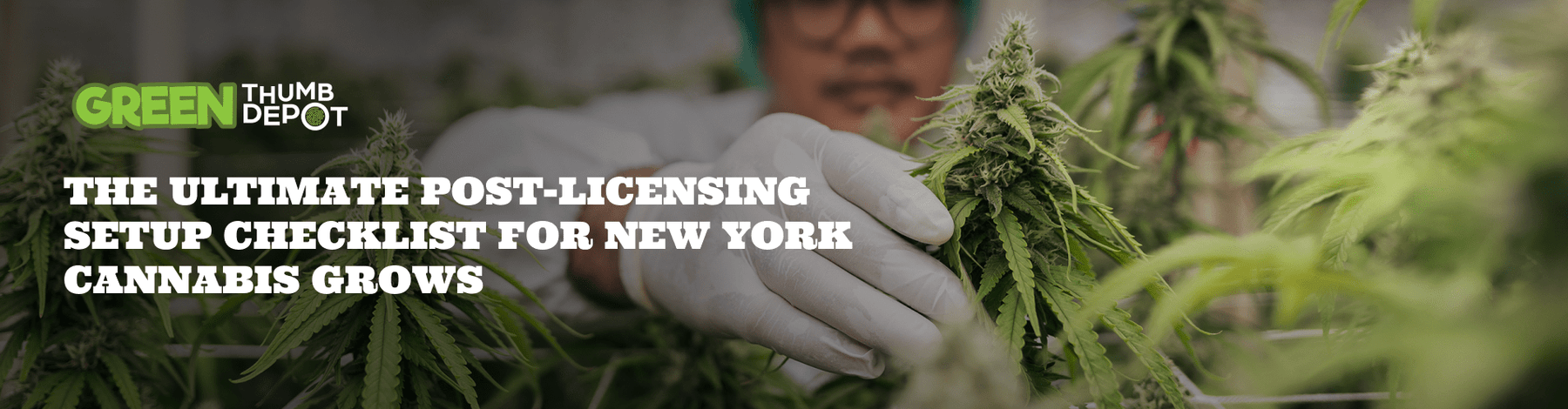 The Ultimate Post-Licensing Setup Checklist for New York Cannabis Grows - Green Thumb Depot