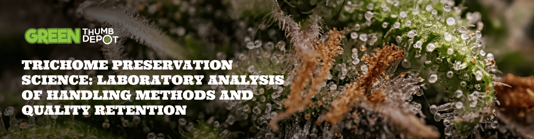 Trichome Preservation Science: Laboratory Analysis of Handling Methods and Quality Retention - Green Thumb Depot