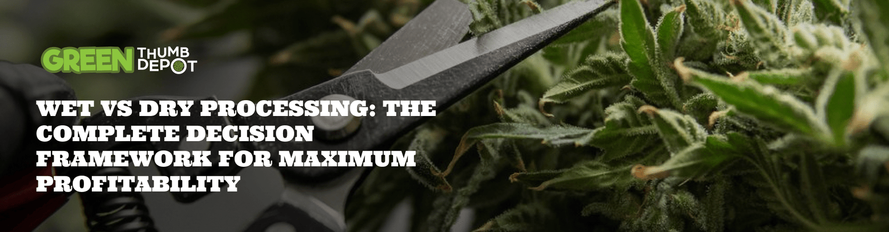 Wet vs Dry Processing: The Complete Decision Framework for Maximum Profitability - Green Thumb Depot