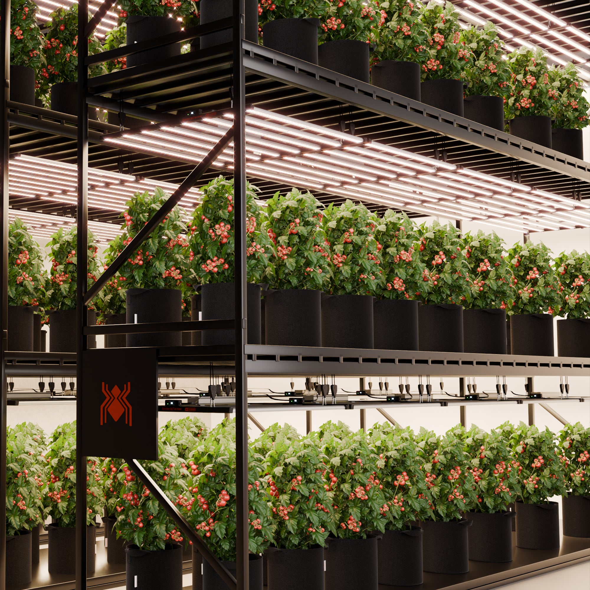 Spider Farmer G1000 1000 Watt WiFi & Bluetooth App-Controlled Dimmable Cost effective Full Spectrum High Yield Commercial LED Grow Light for 5X5 Grow Tent