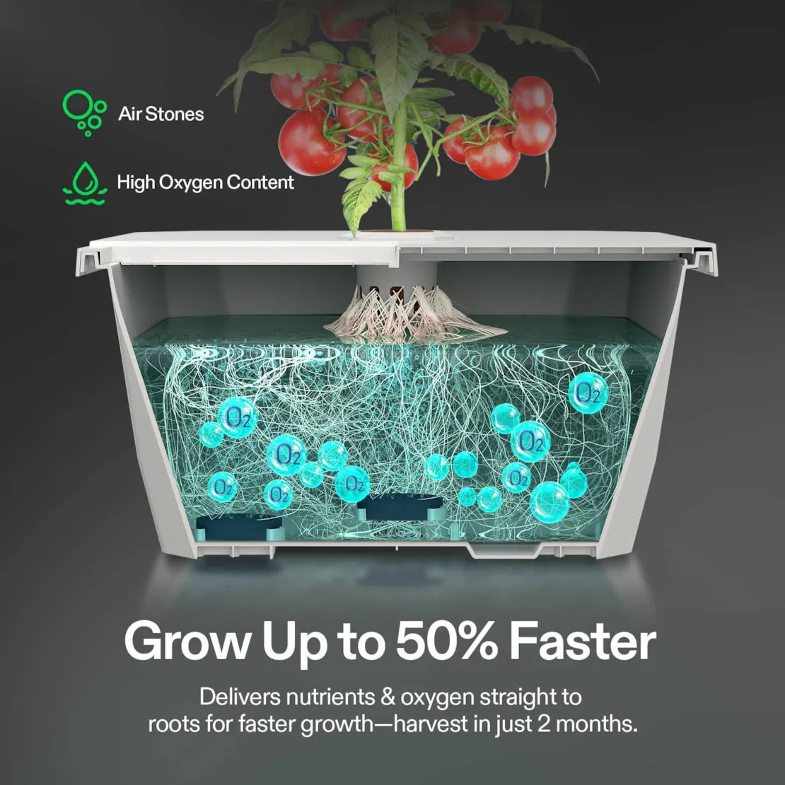 Vivosun VGrow Smart Box & DWC Hydroponics Growing System Kit, Smart Indoor Gardening with Automated Plant Growing