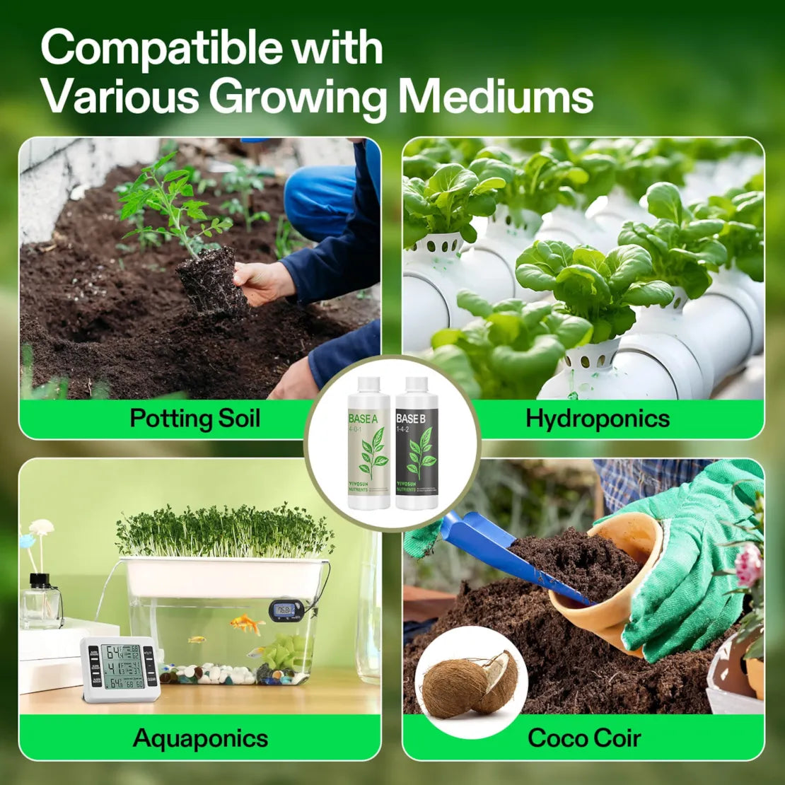 Nutrients Base A & B Bundle, Liquid Fertilizer Supports Vegetative and Flowering Stage