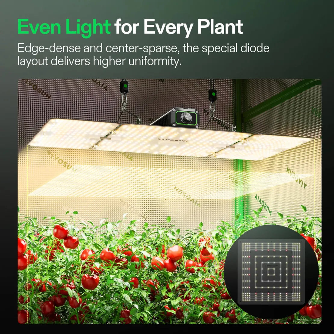 Vivosun LumaLight LED Grow Light, Full Spectrum Plant Light, 200W Smart Dimmable & High PPFD for Indoor Plants Seedling Vegetables Bloom