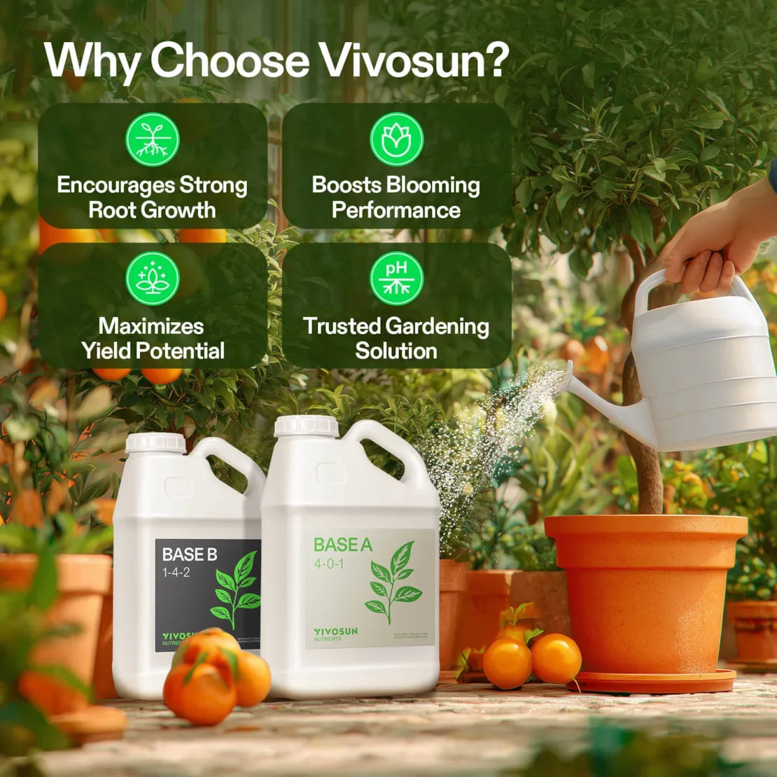 Nutrients Base A & B Bundle, Liquid Fertilizer Supports Vegetative and Flowering Stage