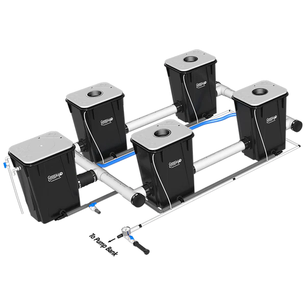 Current Culture H2O Under Current RDWC Hydroponic System - 13 Gallon, 40" Spacing