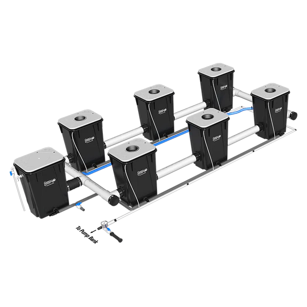 Current Culture H2O Under Current RDWC Hydroponic System - 13 Gallon, 40" Spacing