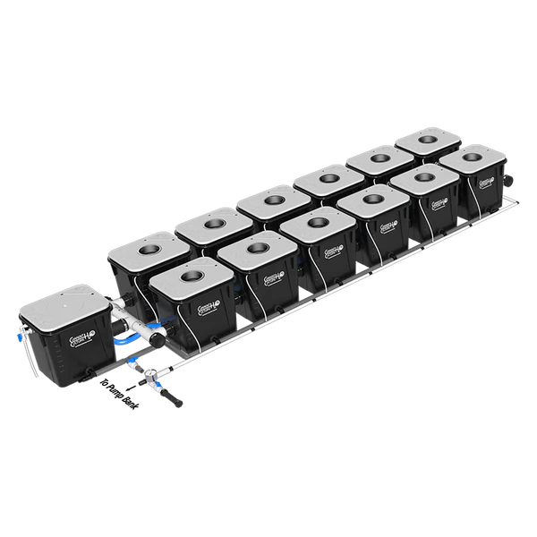 Current Culture H2O Under Current RDWC Hydroponic System - 8 Gallon, 18" Spacing