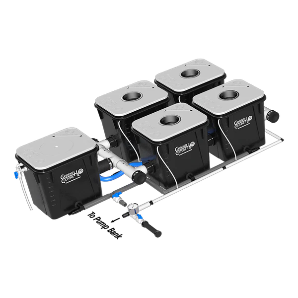 Current Culture H2O Under Current RDWC Hydroponic System - 8 Gallon, 18" Spacing