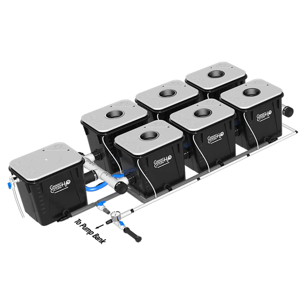 Current Culture H2O Under Current RDWC Hydroponic System - 8 Gallon, 18" Spacing