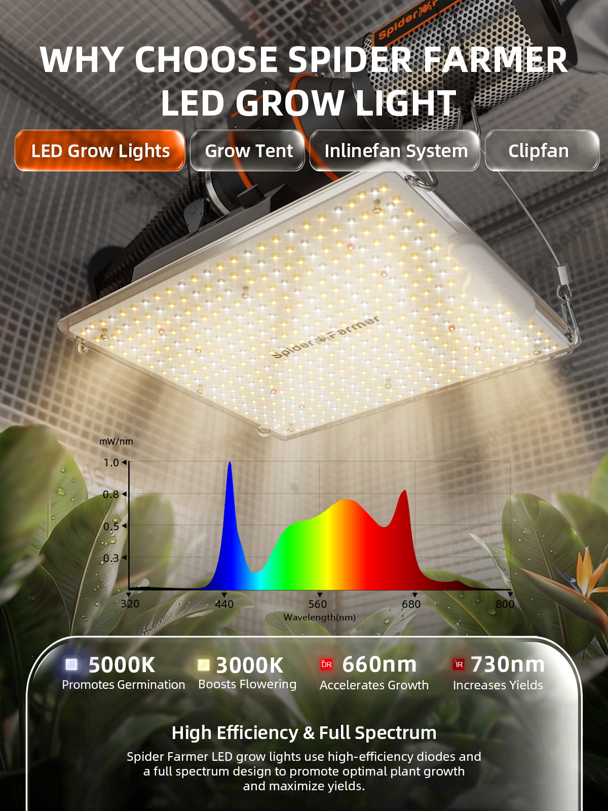 Spider Farmer® 2’x2′X4.6′ Complete Grow Tent Kit丨SF1000D Full Spectrum LED Grow Light丨6” Clip Fan丨4” Ventilation System with Speed Controller